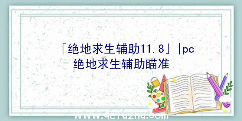 「绝地求生辅助11.8」|pc绝地求生辅助瞄准